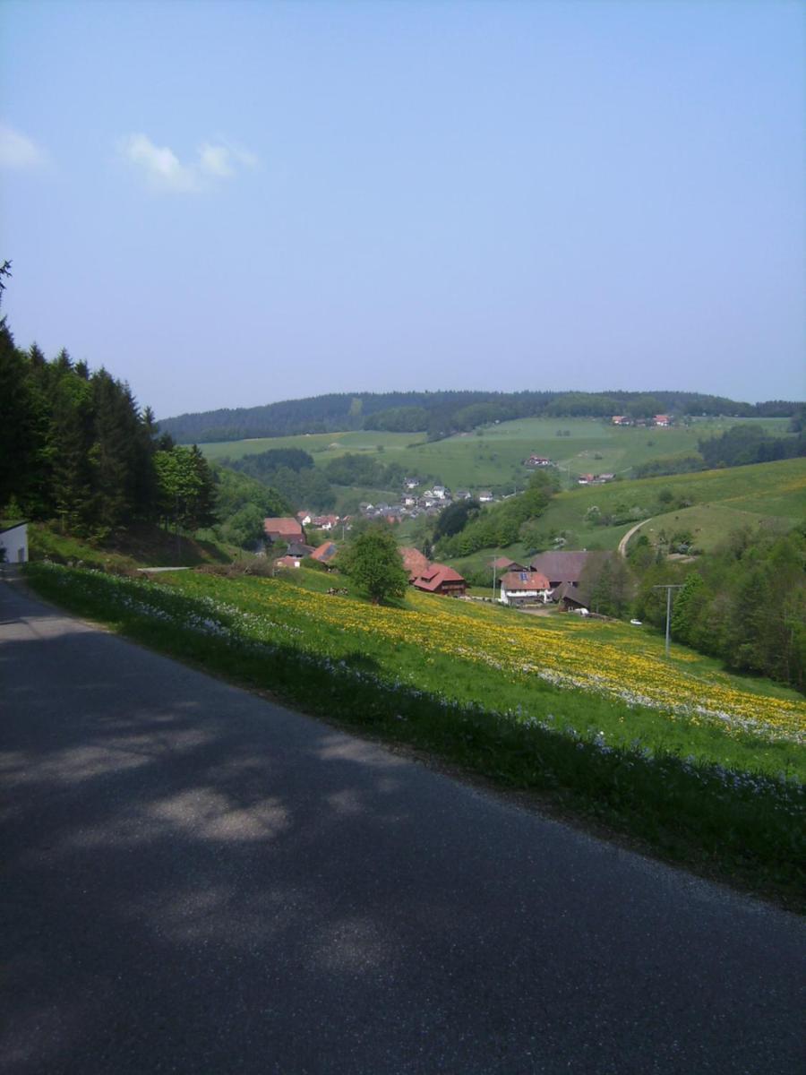 Gasthof Krone Schuttertal Kültér fotó